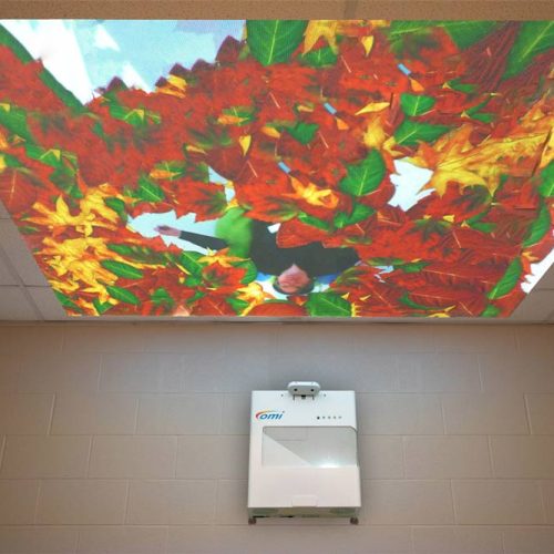 Omisky ceiling projector for sensory environments