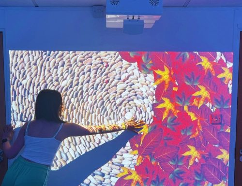 Why a Sensory Room for Autism is a Game-Changer for Learning and Regulation